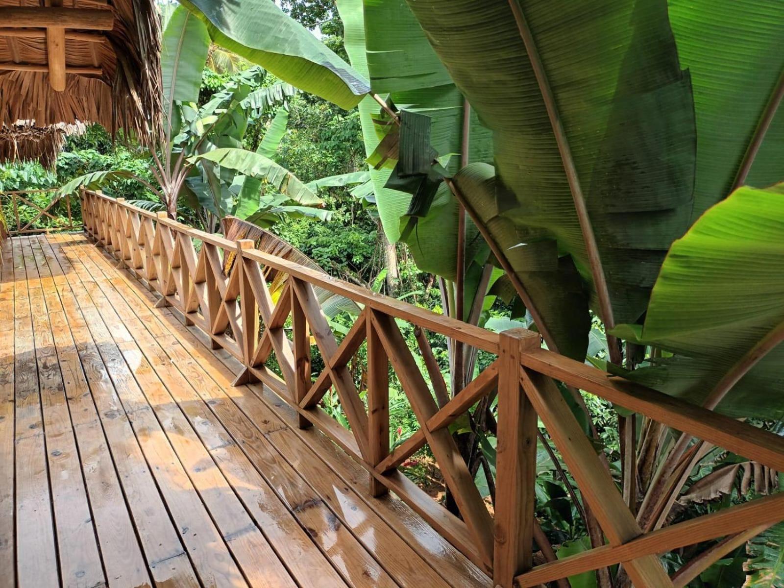 Samo Eco Lodge Las Terrenas Ngoại thất bức ảnh